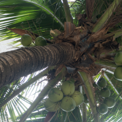 Screenshot 2025-08-23 at 23.22.35